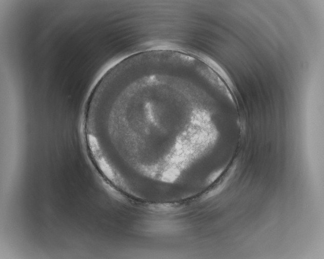 X0000111021149200907310926