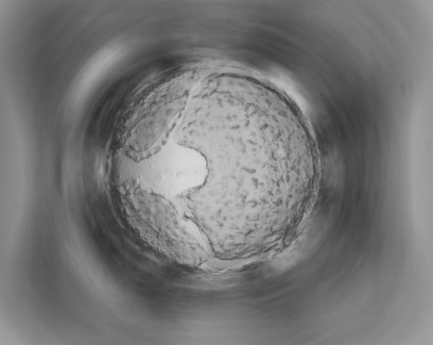 X0000111021150200907310926