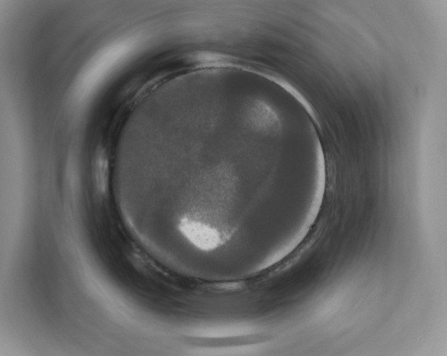 X0000111021151200907310926