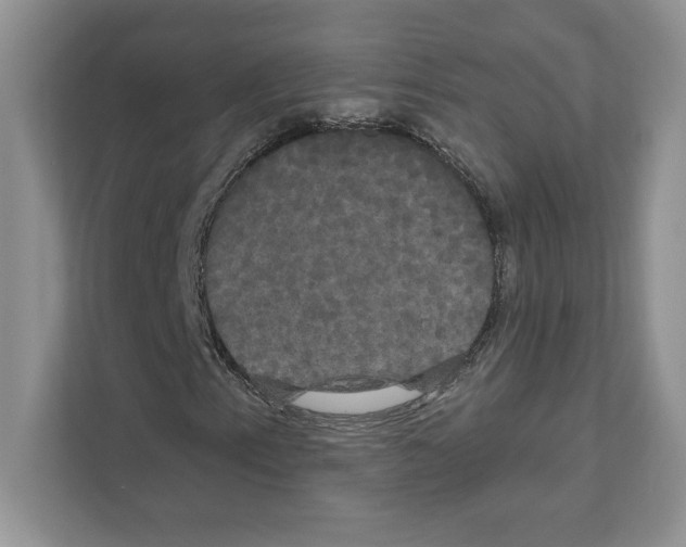 X0000111021153200907310926