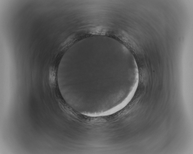 X0000111021154200907310926