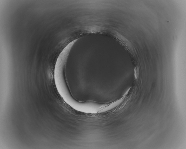 X0000111021155200907310926