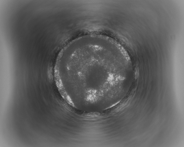 X0000111021156200907310926