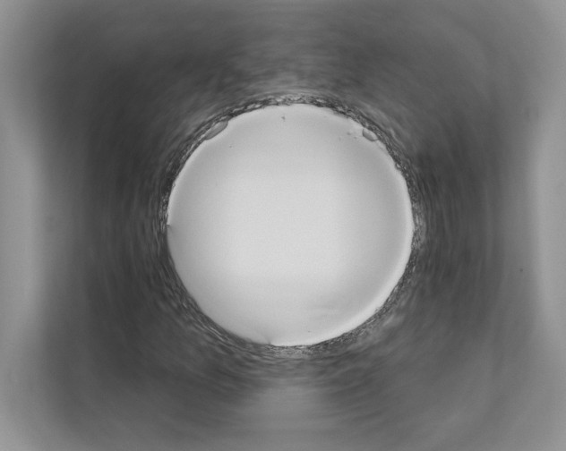 X0000111021157200907310926