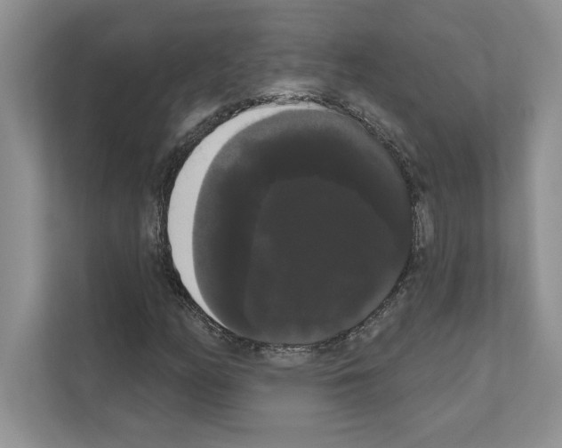 X0000111021158200907310926