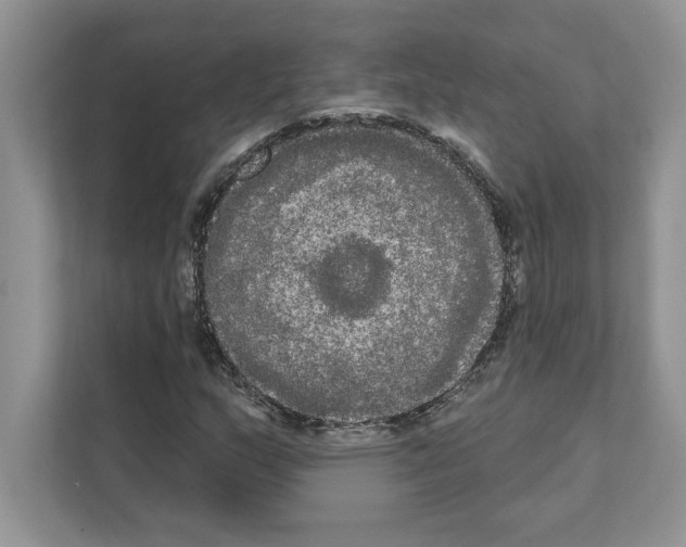 X0000111021159200907310926