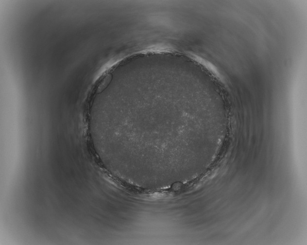 X0000111021160200907310926