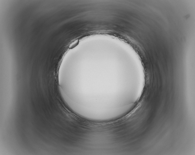 X0000111021161200907310926