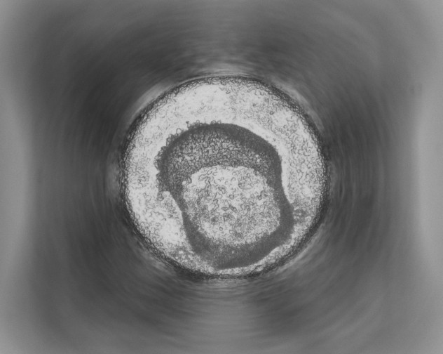 X0000111021163200907310926