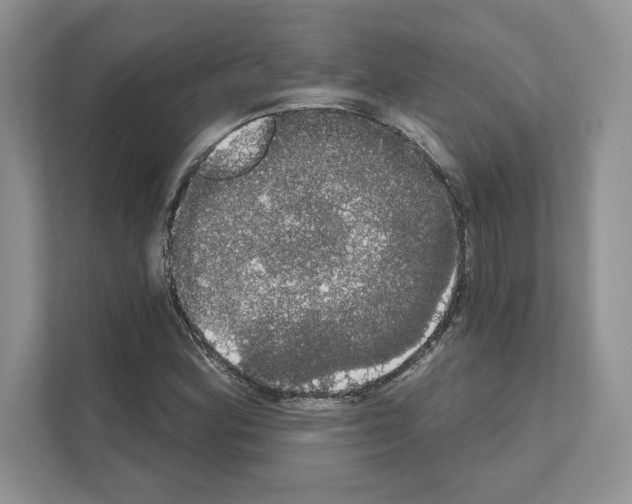 X0000111021164200907310926