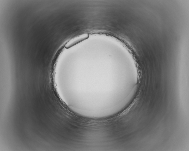 X0000111021165200907310926