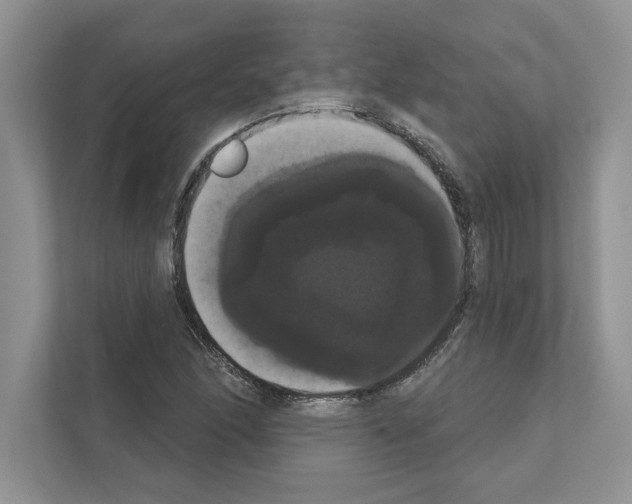 X0000111021166200907310926