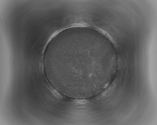 X0000111021168200907310926