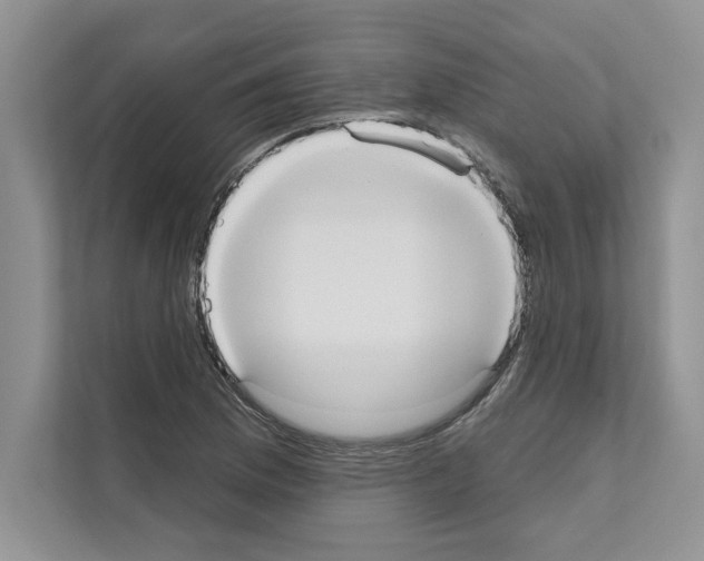 X0000111021169200907310926
