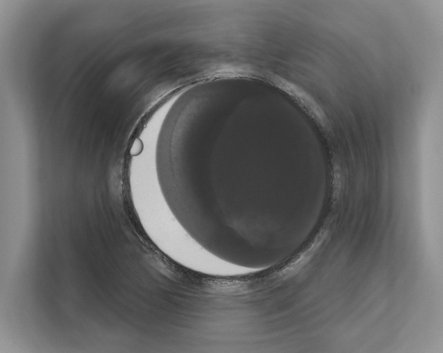 X0000111021170200907310926
