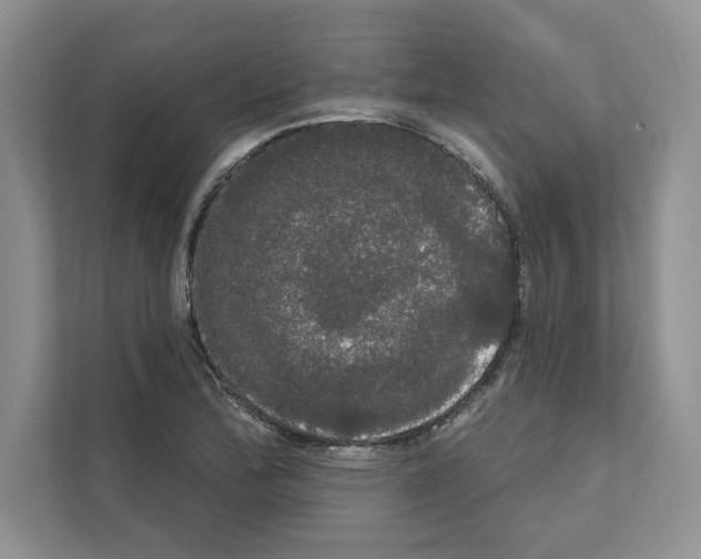 X0000111021172200907310926