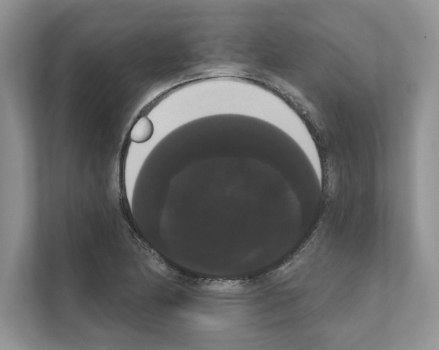X0000111021174200907310925
