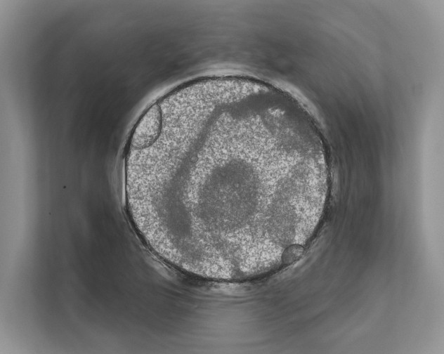 X0000111021175200907310925
