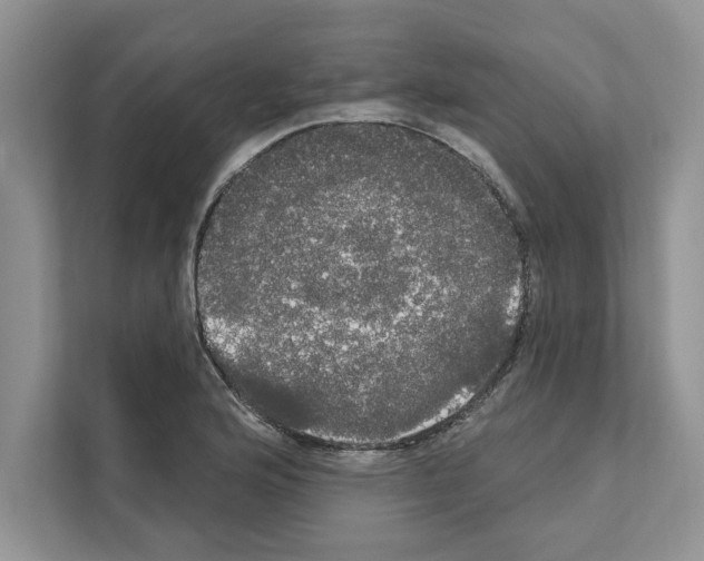X0000111021176200907310925