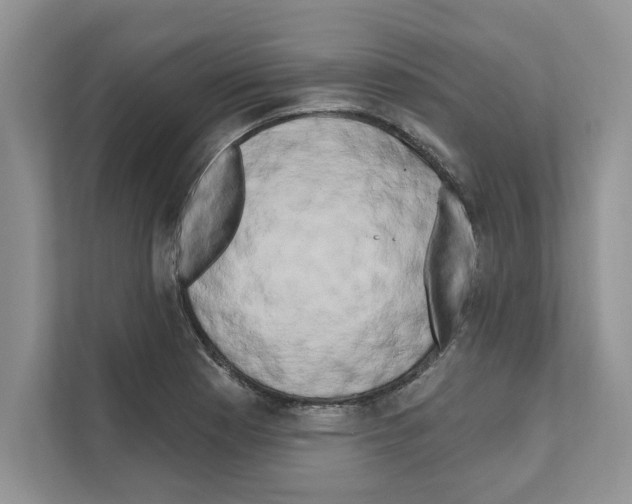 X0000111021177200907310925