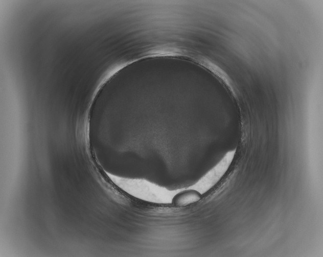 X0000111021179200907310925
