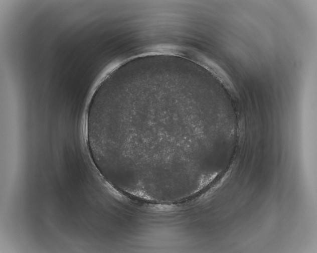X0000111021180200907310925