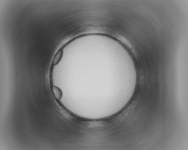 X0000111021181200907310925