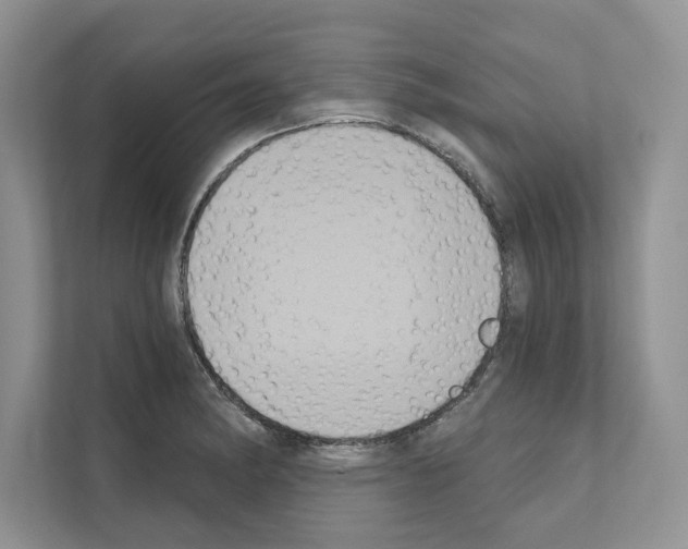 X0000111021182200907310925