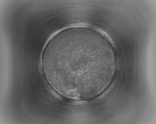 X0000111021184200907310925