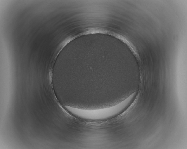 X0000111021185200907310925