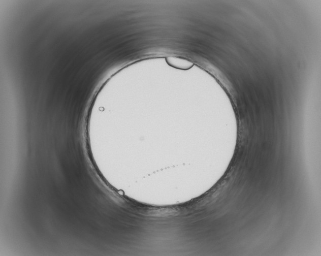 X0000111021187200907310925