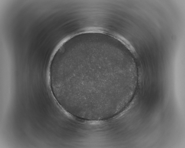X0000111021188200907310925