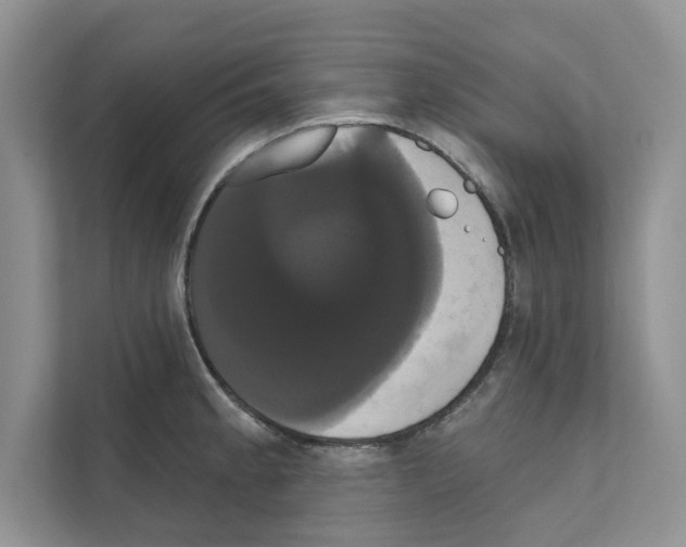 X0000111021189200907310925