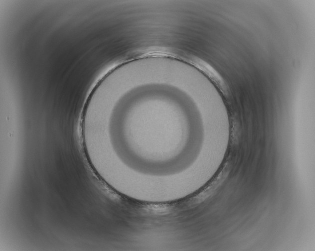 X0000111021190200907310925