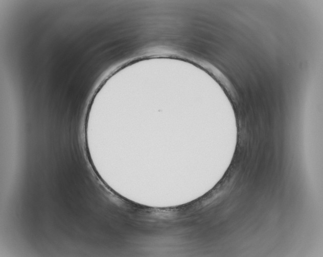 X0000111021191200907310925