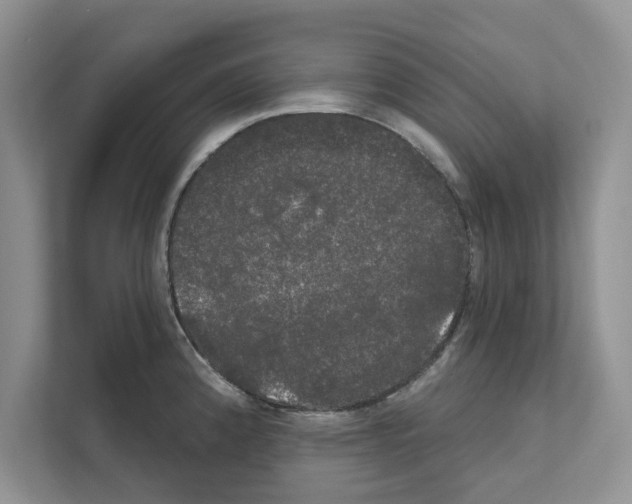 X0000111021192200907310925