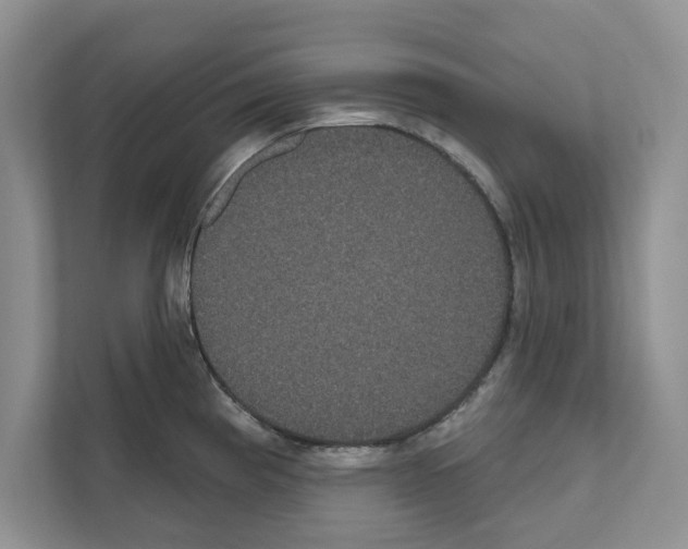 X0000111021193200907310925