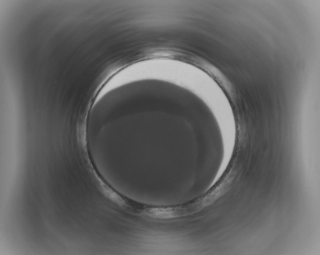 X0000111021194200907310925