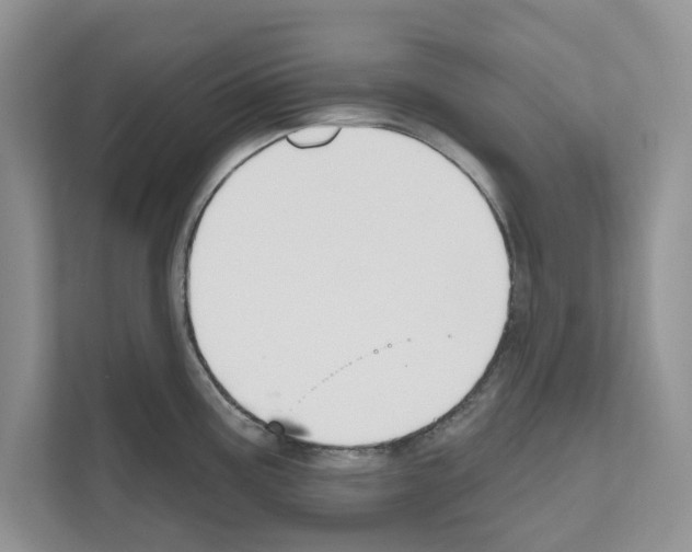X0000111021195200907310925