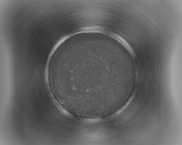 X0000111021196200907310925