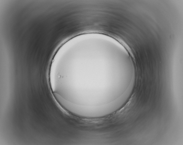 X0000111021197200907310925