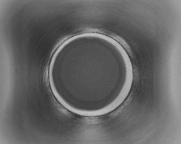 X0000111021198200907310925