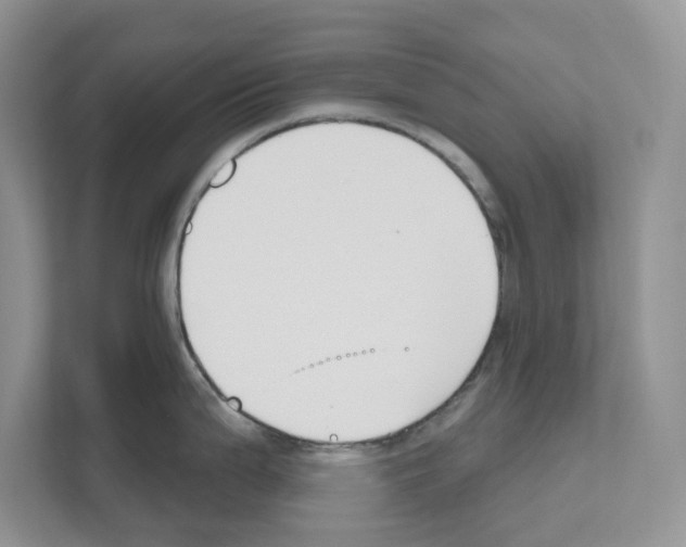 X0000111021199200907310925