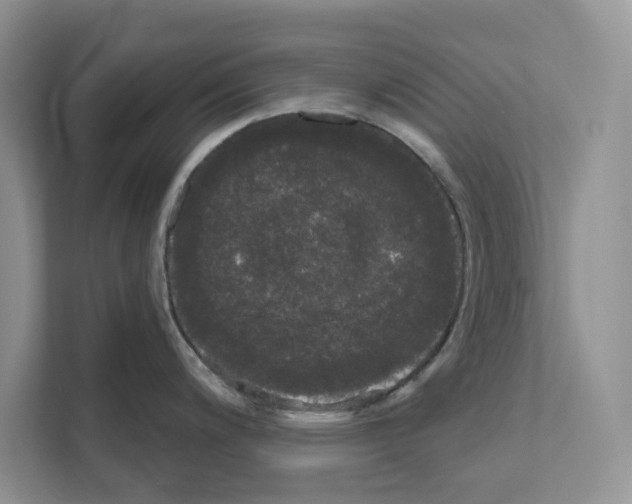 X0000111021200200907310925