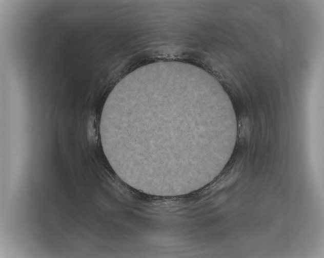X0000111021202200907310925
