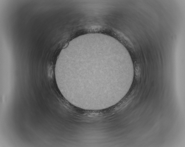 X0000111021204200907310925