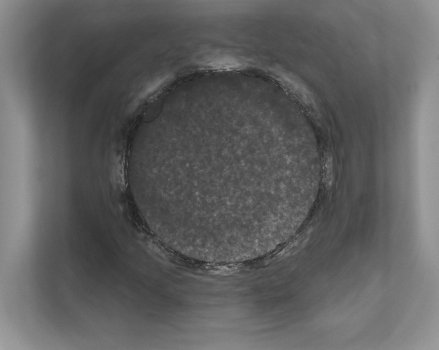 X0000111021205200907310925