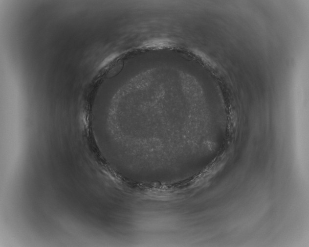 X0000111021206200907310925