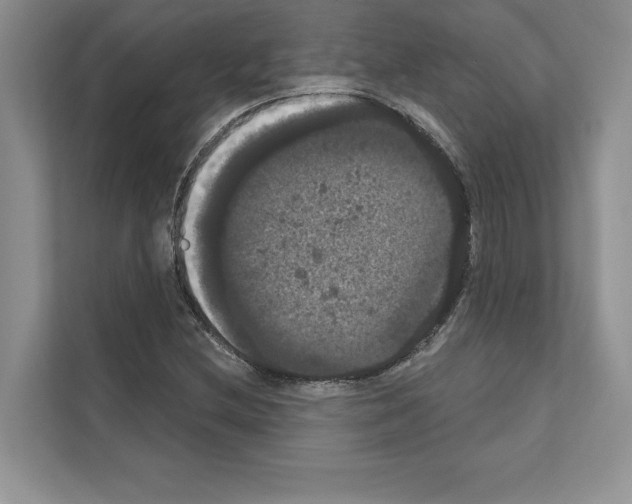 X0000111021212200907310925