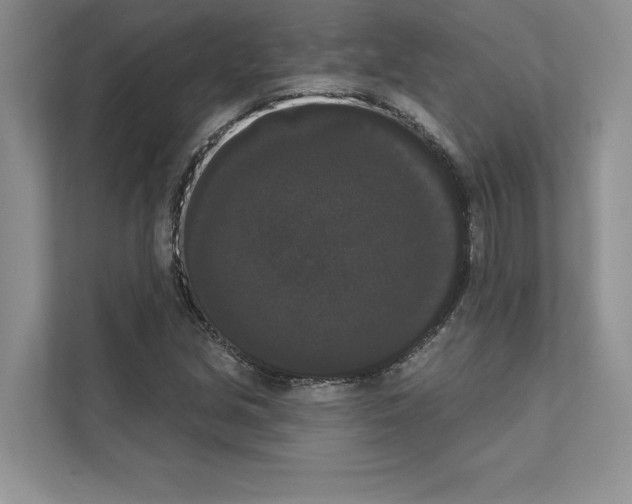 X0000111021213200907310925